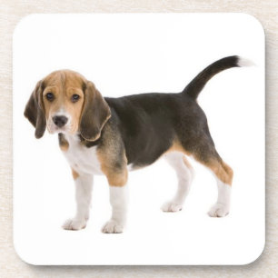Dessous-de-verre Mignonne Beagle Maman Amoureux des chiens Chiot Pa