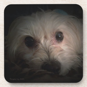 Dessous de verre mignons de délivrance de chiot d