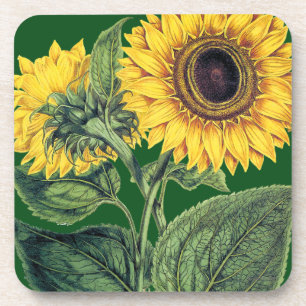 Dessous-de-verre Miller : Tournesol