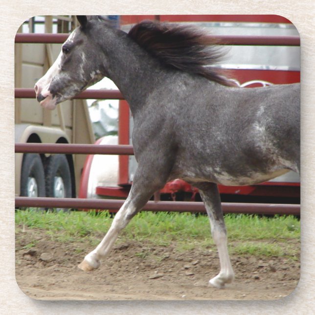Dessous-de-verre Mini Horse en classe Liberty (Devant)