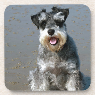 Dessous-de-verre mini schnauzer-au beach.png