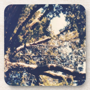 Dessous-de-verre Mon arbre fave