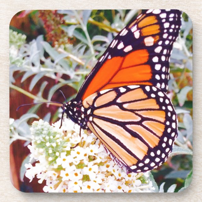 Dessous-de-verre Monarch Butterfly (Devant)