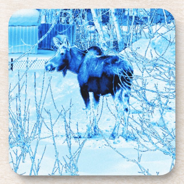 Dessous-de-verre Moose urbaine (Devant)
