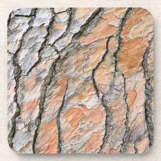 Dessous-de-verre Motif d'écorce d'arbre de la nature