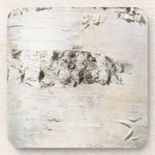 Dessous-de-verre Motif d'écorce de bouleau