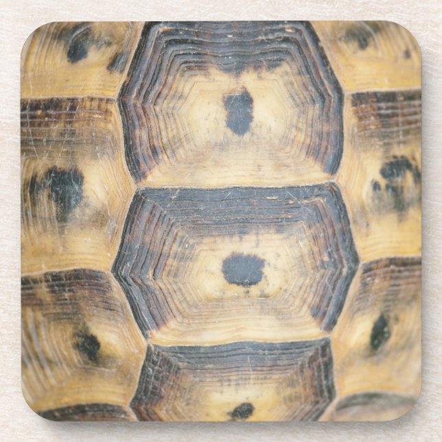 Dessous-de-verre Motif Tortoise Shell (Devant)