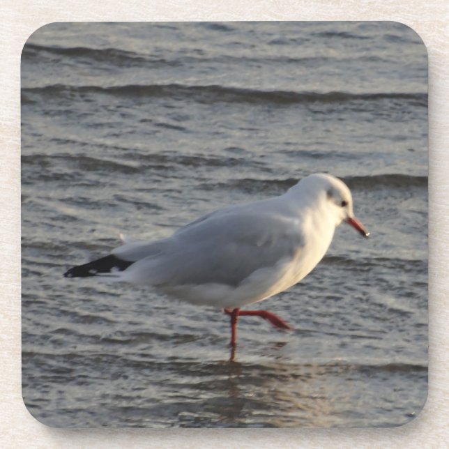 Dessous-de-verre Mouette mignonne (Devant)