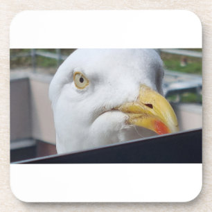 Dessous-de-verre Mouette regardant