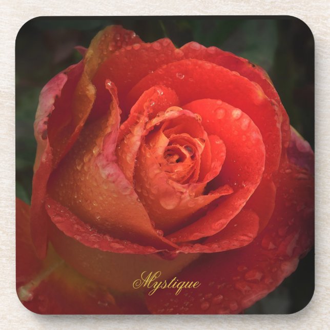 Dessous-de-verre Mystique Dark Botanical Red Orange Rose Coaster (Devant)