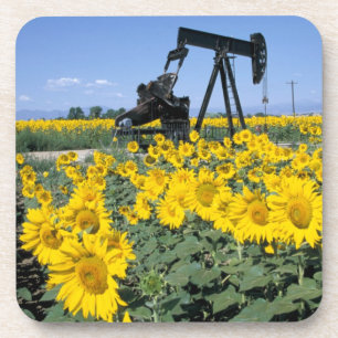 Dessous-de-verre Na, États-Unis, Colorado, Tournesols, Derrick de p