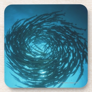 Dessous-de-verre Natation de barracuda de Blackfin en cercles