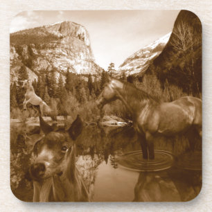 Dessous-de-verre native american