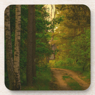 Dessous-de-verre Nature Forêt Village Rural Cabut Biélorussie