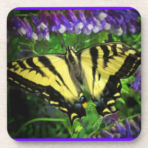 Dessous-de-verre Nectar Bluebell pour le déjeuner de papillon