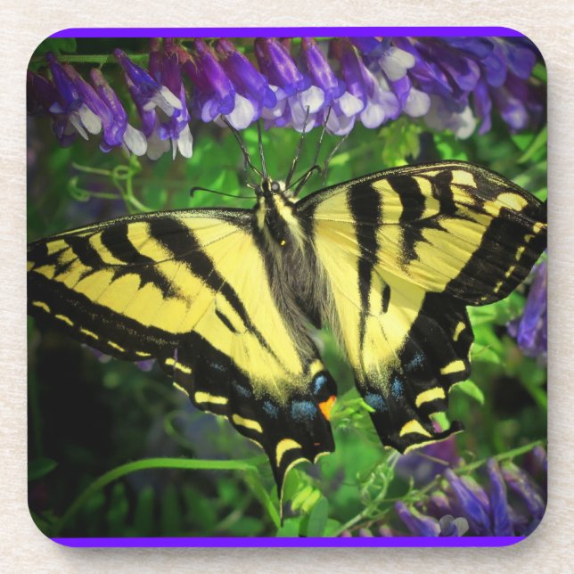 Dessous-de-verre Nectar Bluebell pour le déjeuner de papillon (Devant)