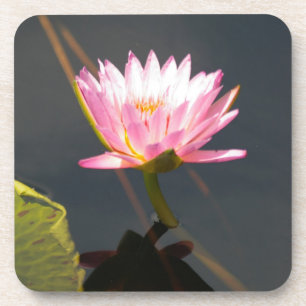 Dessous-de-verre Nénuphar rose Lotus