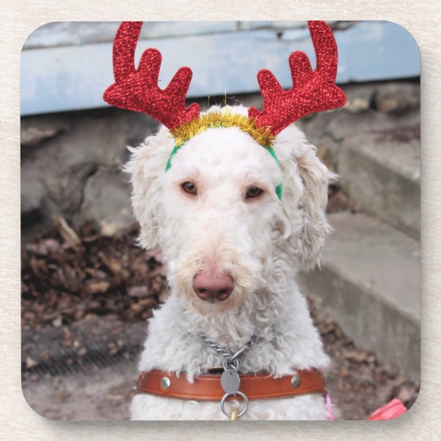 Dessous-de-verre Noël Ollie (Devant)
