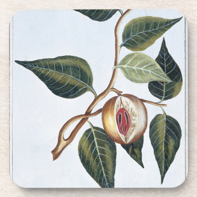 Dessous-de-verre Noix de muscade, plat 7, de 'collection Precieuse (Devant)