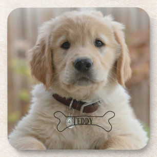 DESSOUS-DE-VERRE NOM DE PHOTO DE CHIOT CHIEN OS MEILLEUR CHIEN MAMA