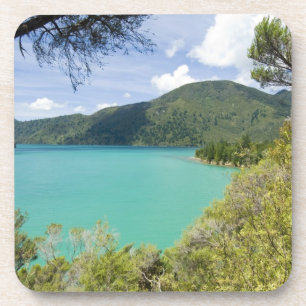 Dessous-de-verre Nouvelle-Zélande, île du Sud, Marlborough Sounds.
