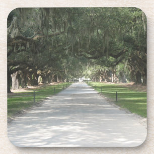 Dessous-de-verre Oak Alley at Boone Hall, Charleston SC Dessous de