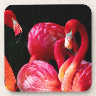 Dessous-de-verre Oiseaux roses flamants