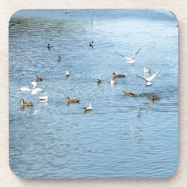 Dessous-de-verre Oiseaux Sur La Rivière D'Été (Devant)