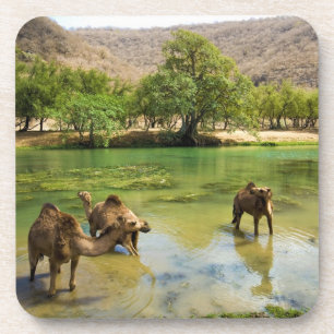 Dessous-de-verre Oman, Wadi darbat