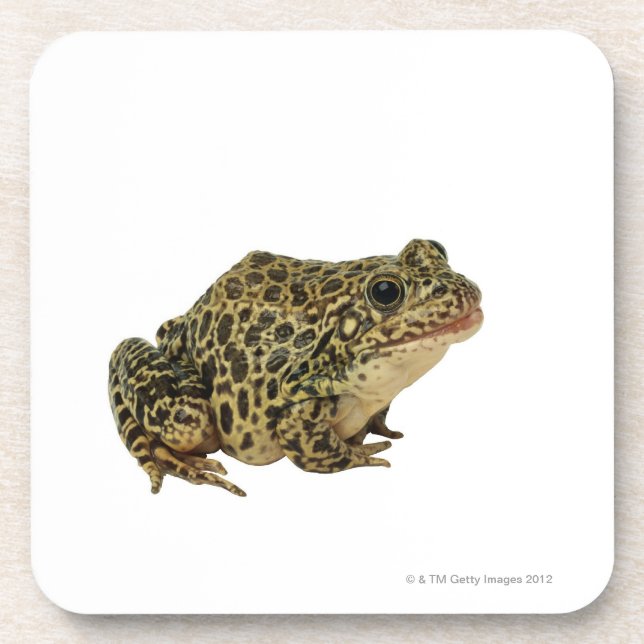 Dessous-de-verre Ombre de grenouille (Devant)