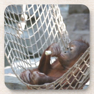 Dessous-de-verre Orang-Utan