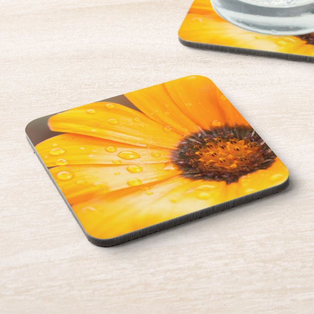 Dessous-de-verre Orange Spring Flash African Daisy Close Up Photo (Côté gauche)