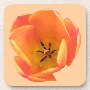 Dessous-de-verre Orange Tulip Cork Coaster