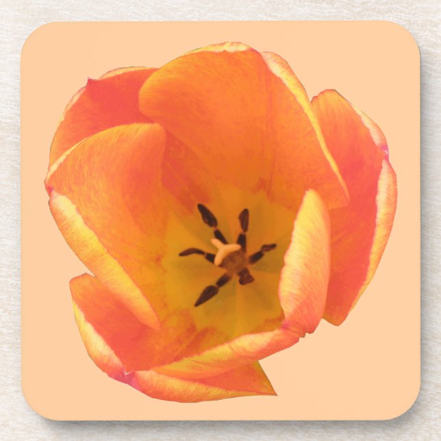 Dessous-de-verre Orange Tulip Cork Coaster (Devant)