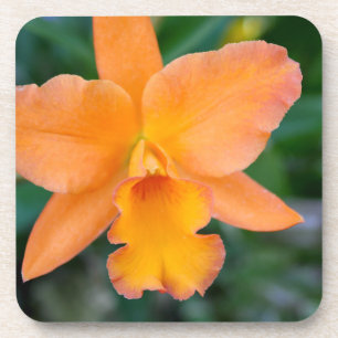 Dessous-de-verre Orchidée saumon