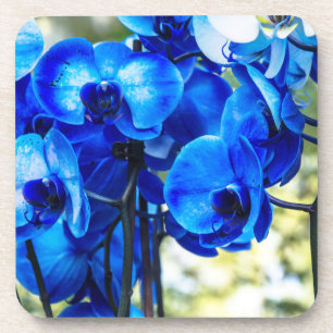 Dessous-de-verre Orchidées bleues