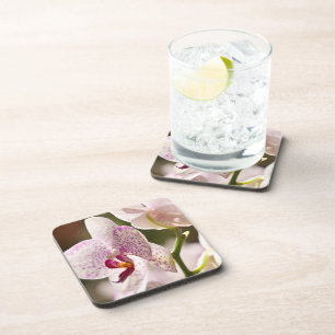 Dessous-de-verre Orchidées par Shirley Taylor