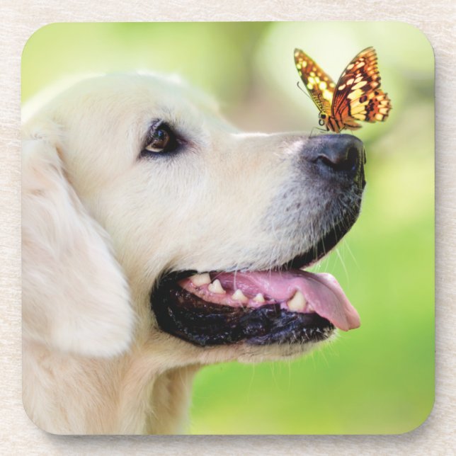 Dessous-de-verre Oreiller À Lancer Du Labrador Et Du Papillon (Devant)
