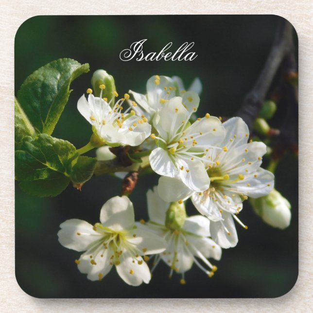 Dessous-de-verre Original White Plum Art Custom Name Coaster (Devant)