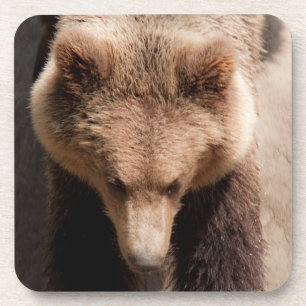 Dessous-de-verre ours Brown