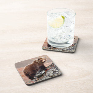 Dessous-de-verre Ours Brown de Denali
