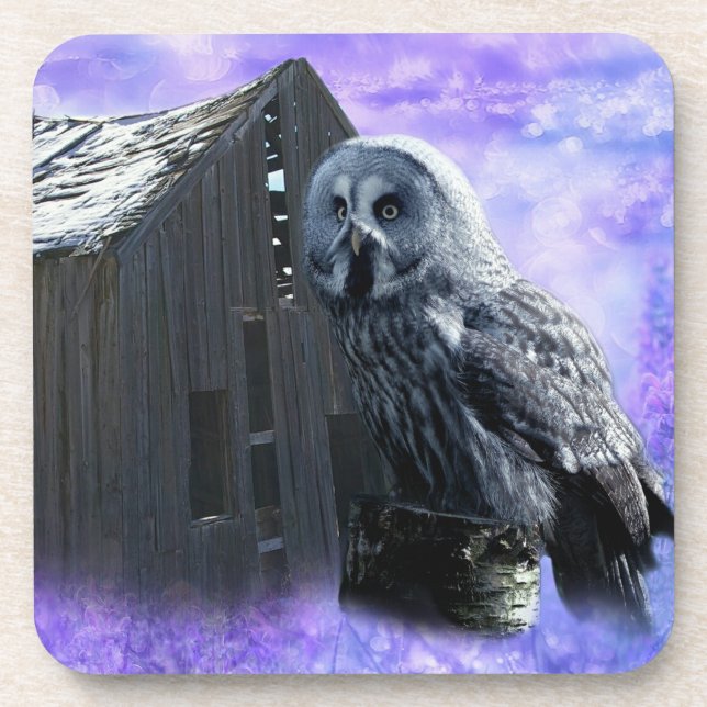 Dessous-de-verre Owl Barn Shed (Devant)