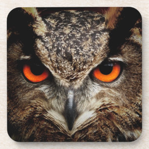 Dessous-de-verre OWL regard