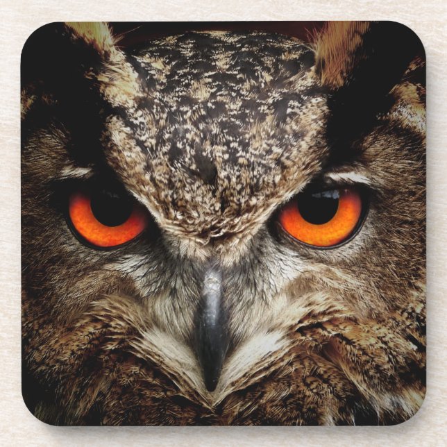 Dessous-de-verre OWL regard (Devant)