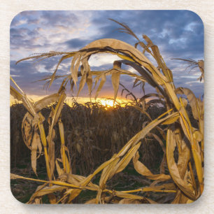 Dessous-de-verre Ozarks Harvest
