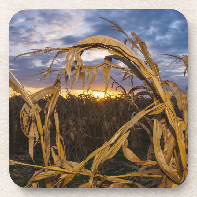 Dessous-de-verre Ozarks Harvest (Devant)