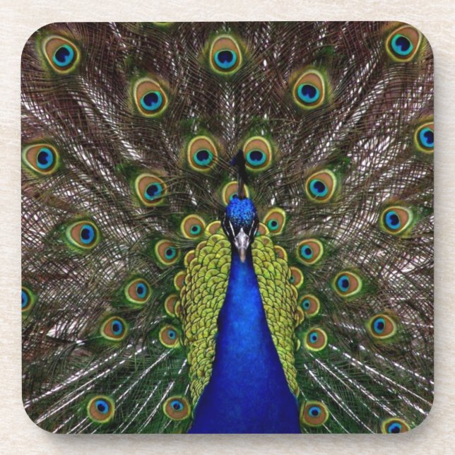 Dessous-de-verre Pacock (Devant)