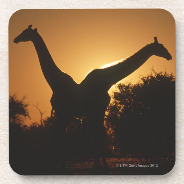 Dessous-de-verre Paires de girafe (camelopardalis de Giraffa) (Devant)