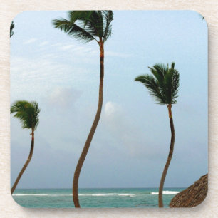 Dessous-de-verre Palmier de plage