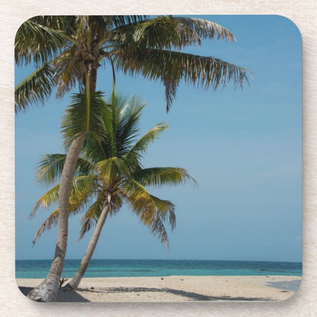 Dessous-de-verre Palmier et plage de sable blanc (Devant)